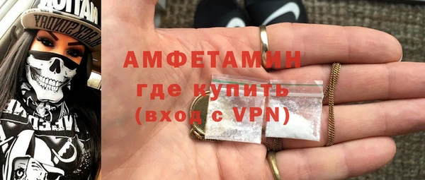 дживик Инта