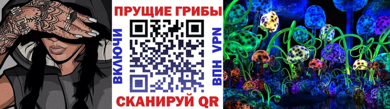 Галлюциногенные грибы мицелий MEGA tor Болгар