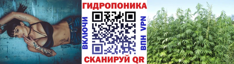 наркошоп  Болгар  Бошки Шишки Ganja 